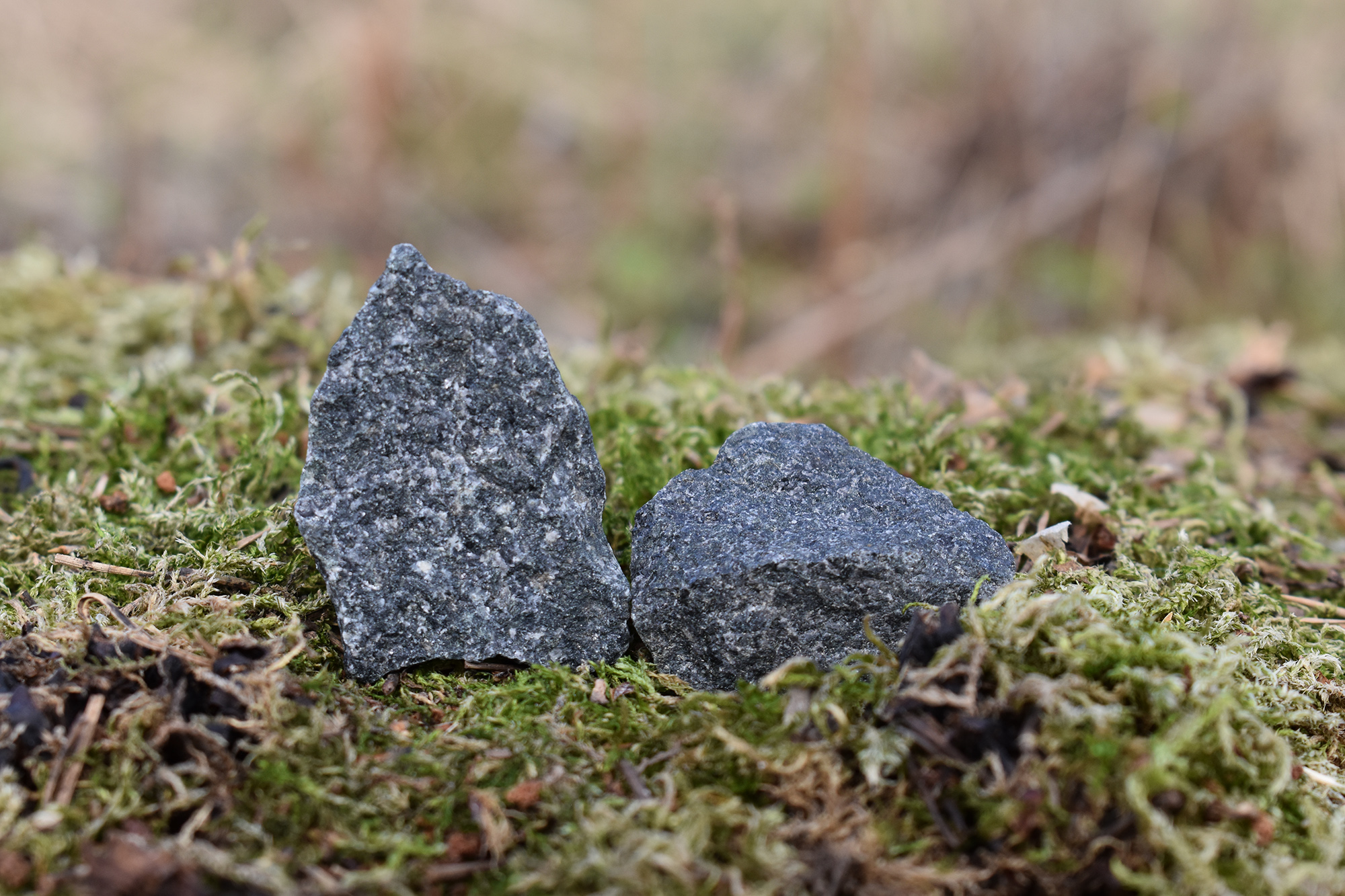 Rå gabbro