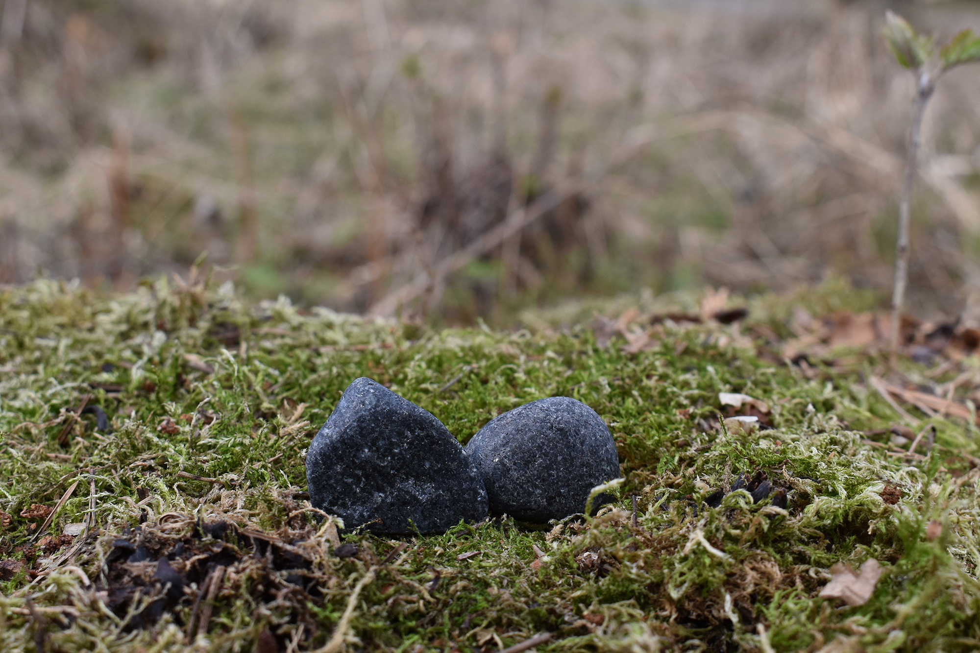 Trumlad gabbro